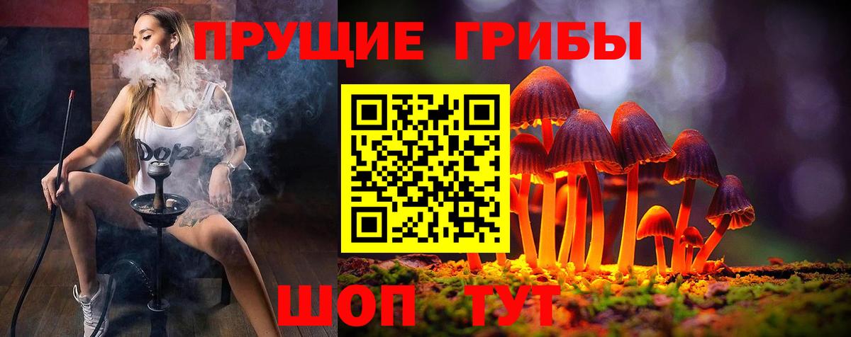 Галлюциногенные грибы Psilocybe  Галлюциногенные грибы Magic Shrooms  Вход с VPN  Алейск 