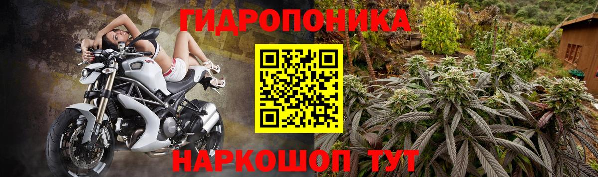 Алейск  Марихуана MAZAR  Вход с VPN  МАРИХУАНА VHQ  Бошки марихуана Ganja  МАРИХУАНА сатива 